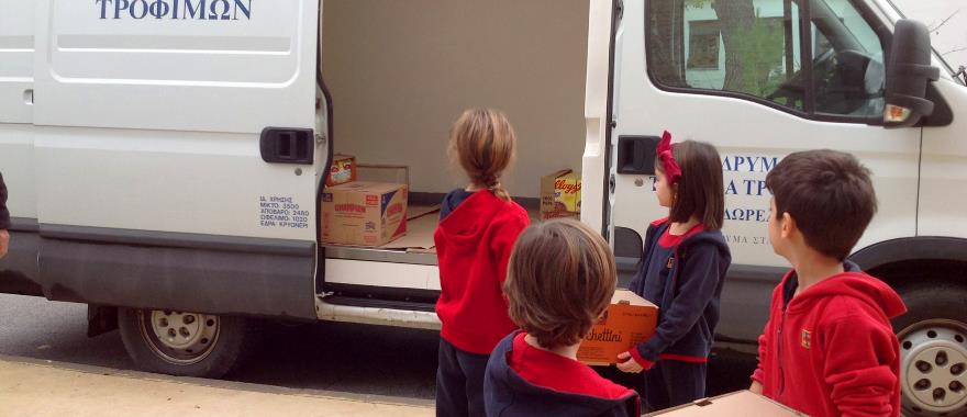 Food Collection