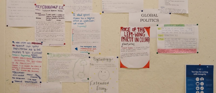IB DP Year 2 presentation of Extended Essays